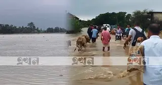 বৃষ্টিতে বাড়ছে সুনামগঞ্জের নদ-নদীর পানি, বন্যার শঙ্কা